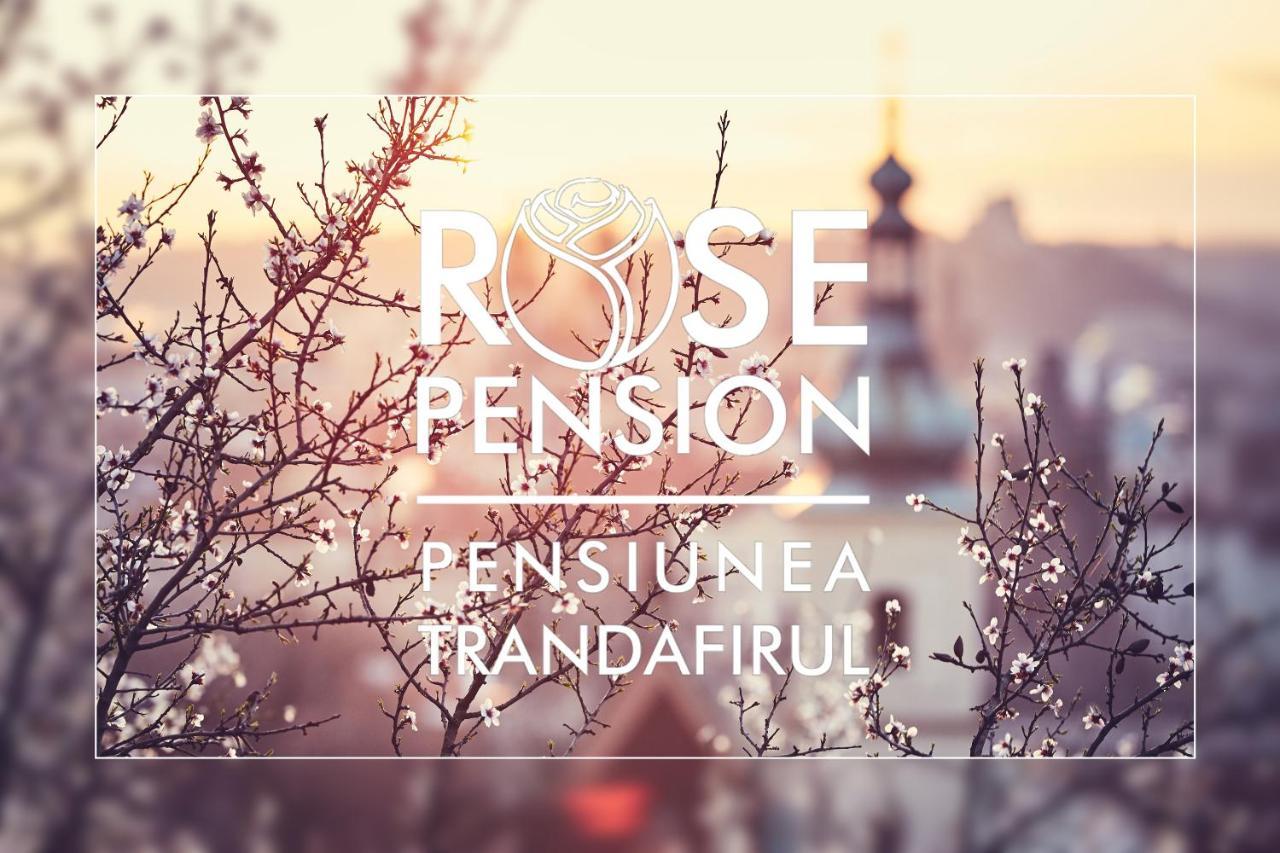Pension Rose-Trandafirul 博尔塞克 外观 照片